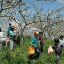 과수원길협동조합 이미지