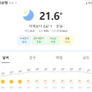 나이스직업소개소