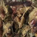 김재연농장 이미지