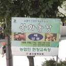 봉화농장 이미지