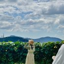 장희농장 이미지