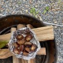 여울소리 오토캠핑장 이미지