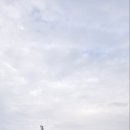 축구클럽(여성부) 이미지