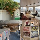 스페이스후암23(Space huam23) | 서울 혼자 놀기, 후암동 전망 카페 부터 산책