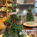 울산신정4동우체국 화장실 | 울산 남구 꽃집 플라워 스미다 꽃선물 꽃다발 꽃바구니 크리스마스 트리만들기 원데이 클래스 추천