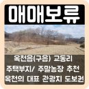 옥천랜드공인중개사사무소 이미지