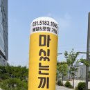 [동탄 마싰는끼니] 동탄에듀센터2 점심식사/치즈돈까스카레, 캘리포니아롤 후기