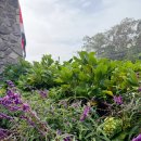 화산농장2 이미지