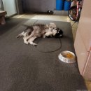 화랑게스트하우스 이미지