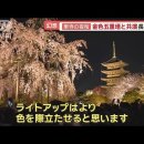 ​​​​​​​京都・桜の名所で春爛漫…外国人観光客ら殺到で大混雑 東寺の夜桜に長蛇の列400m以上 이미지