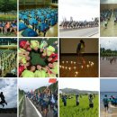 하모니청과 이미지