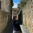 서정카 | 피렌체 렌트카 italy 픽업 산지미냐노 자유여행 피렌체 ZTL 주의사항