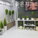 평동치과의원 이미지