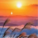 서초법조타운 이미지