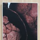 대구박물관 이미지