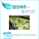 해남젓갈 이미지
