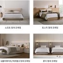 [일룸 달서점]침대가 반값? 추가 네이버 혜택?