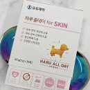 강아지당 | 강아지 피부 영양제 추천 내돈내산 후기