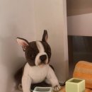 Toy House | 갤러리 털기를 위한 서울리빙디자인페어 뒤늦은(무려 2달 뒤인) 후기 .. !