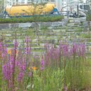 운중동주민센터 이미지