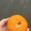 인혜농장 이미지