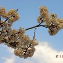 대청고등학교 정문 이미지