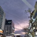 지우참치 | [나만아는맛집] 지우이자카야 내돈내산 방문 후기