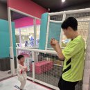 광교) 수원 용인 주말 아이랑 갈만한 키즈카페 바운스 더퍼스트 광교점 내돈내산 후기