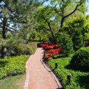 문화공원 북측 이미지