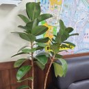 정화공인중개사사무소 이미지