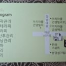 황후에스테틱 네이버블로그