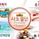 일등여행사 이미지