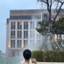 용정사우나 | 인천 파라다이스시티 호텔 수영장부터 씨메르, 찜질스파까지 다녀온 후기🤍