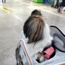 엣지잇개 이미지