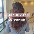 동성로미용실 커트로 죽은 머리 살린 후기 내돈내산 _ 헤어에스티미오 4호점
