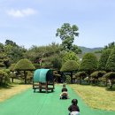 둘 데리고 강화 시리미 자연놀이 체험장 다녀왔는데… 우리 가족 다 여기 팬 됐어요 (5월 찐 방문 후기)