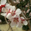 누리농장 이미지