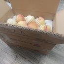 하북한사랑의원 이미지