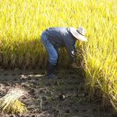 독일인학교 이미지