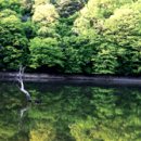 절골민박 이미지