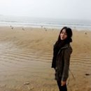 강릉회센터 네이버블로그