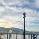 제1능이 버섯전문점 이미지