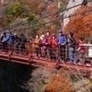 금산군청 광장 이미지