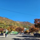 하늘약품 이미지