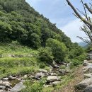 소백산 | 등산 일기 | 여름 산 추천 소백산 어의곡 코스 등산 후기