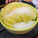 설빙 메론설빙 시즌 리얼통통 메론설빙 리얼후기! 멜론빙수 맛있게 먹는법