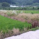 비안농장 이미지