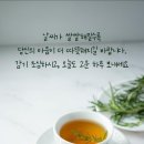 100세 인생 이미지