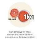 P-5C12 | 피부 영양제 뉴트리베러 뷰티 먹는 레티놀 C 헤스페리딘 3X 후기