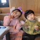 애견가족 | 오산 고기요기 두번째방문 ♡애둘 / 애견동반 가족이용후기♡